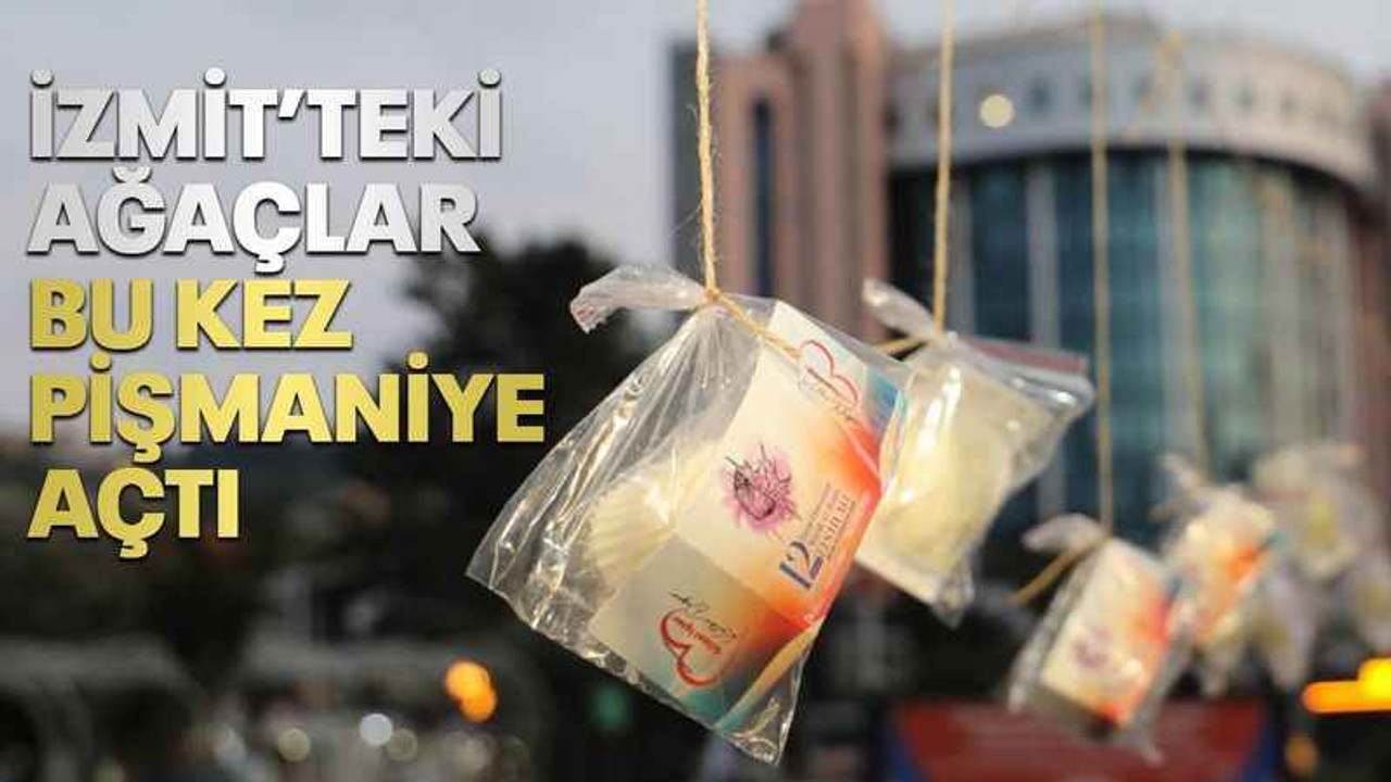 İzmit'te ağaçlar bu kez pişmaniye açtı!