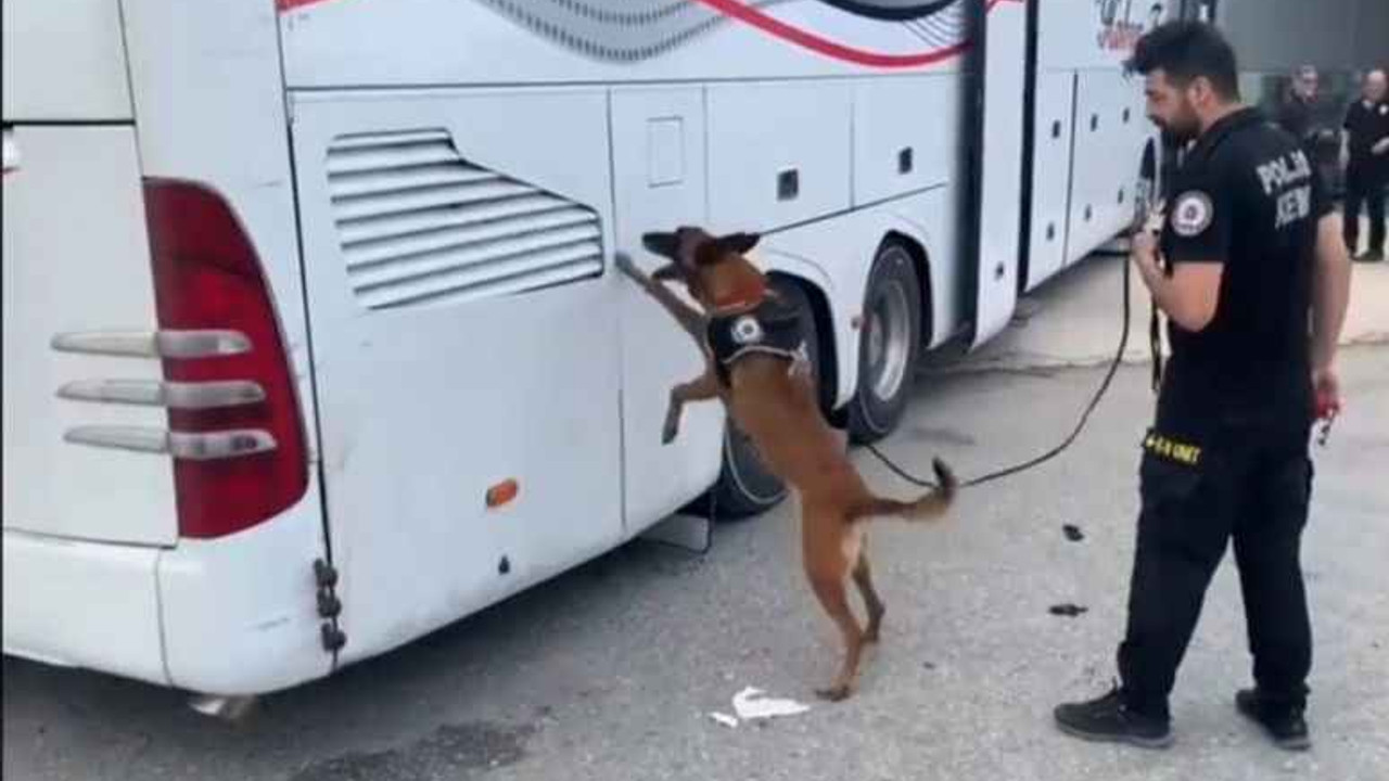 Durdurulan yolcu otobüsünden 76 kilo eroin çıktı