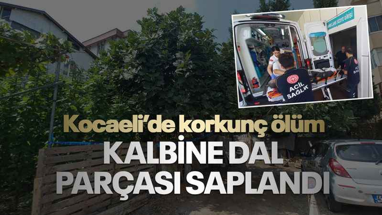 Kocaeli'de korkunç ölüm... Ağaçtan düştü, kalbine dal parçası saplandı