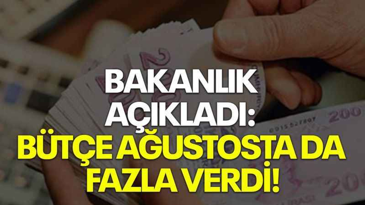 Bakanlık açıkladı: Bütçe ağustosta da fazla verdi!