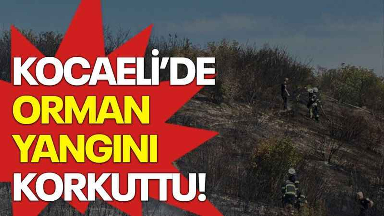 Kocaeli’de orman yangını korkuttu!