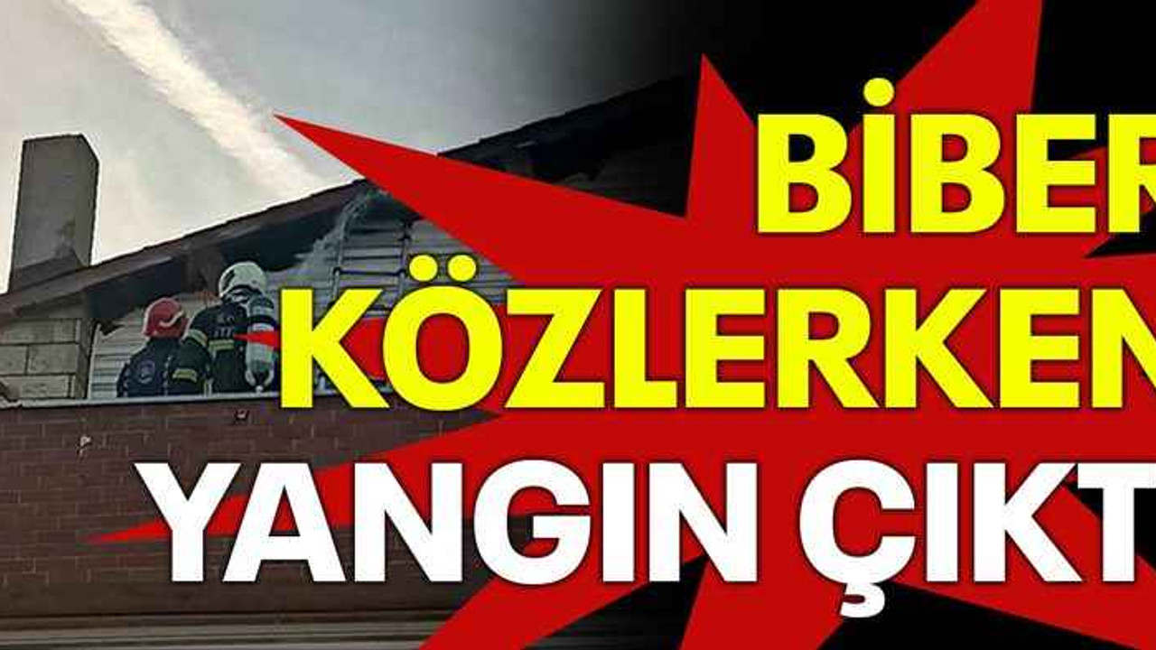 Biber közlerken yangın çıktı