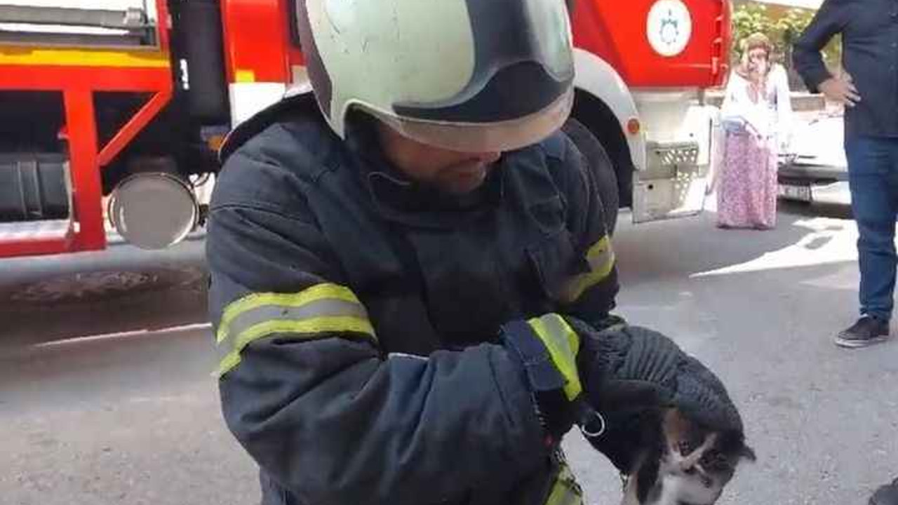 Yavru kedi lavaboya sıkıştı, itfaiye ekipleri yardımına koştu