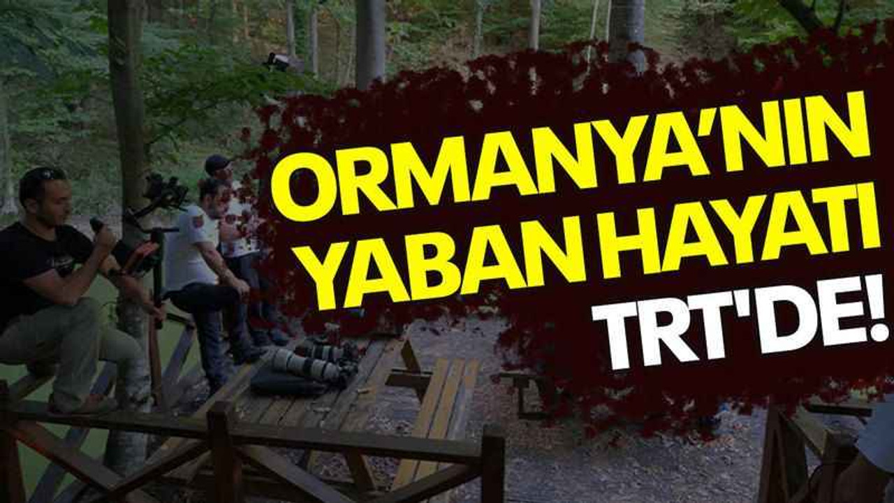 Ormanya’nın yaban hayatı TRT'de!