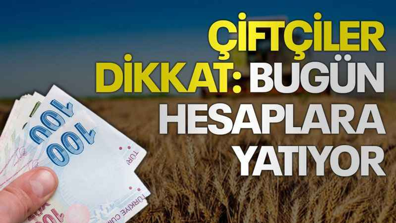 Çiftçiler dikkat: Bugün hesaplara yatıyor