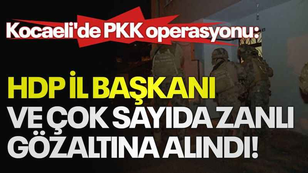 Kocaeli'de PKK operasyonu: HDP İl Başkanı ve çok sayıda zanlı gözaltına alındı!