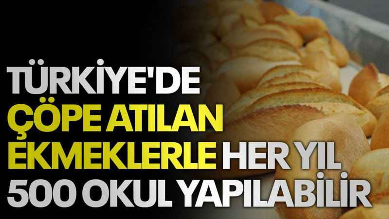 Türkiye'de çöpe atılan ekmeklerle her yıl 500 okul yapılabilir