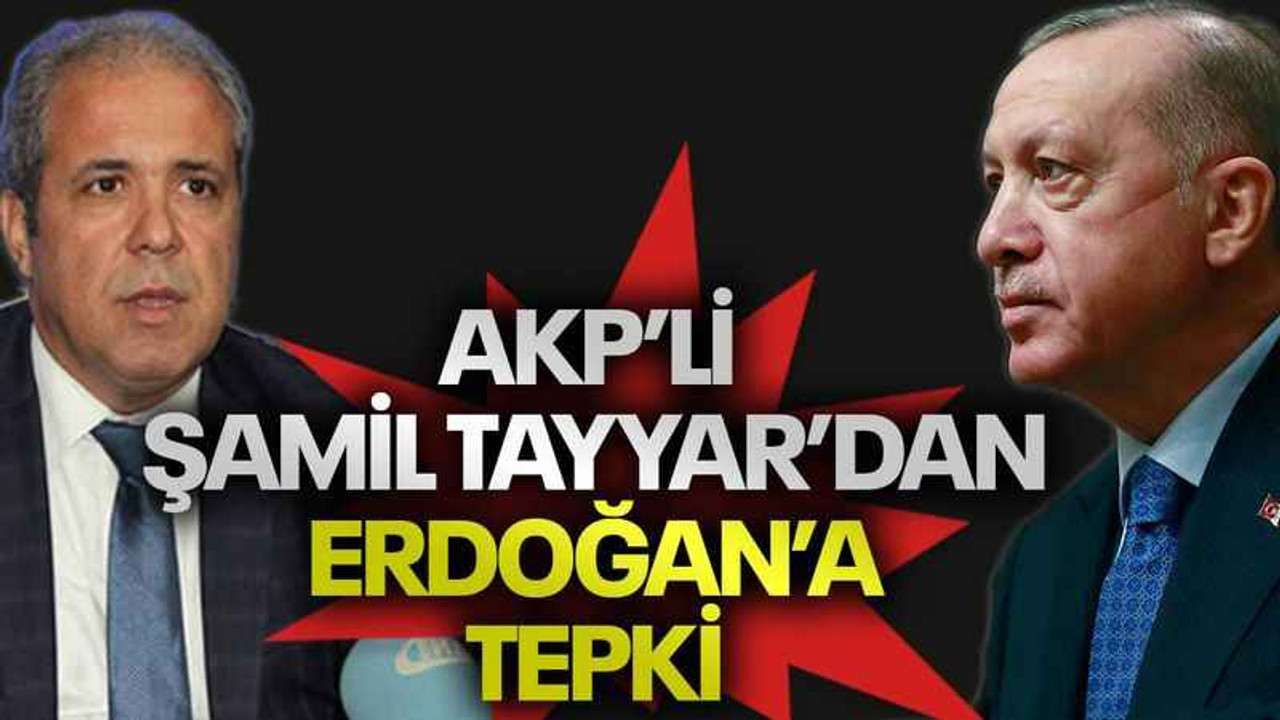 AKP’li Şamil Tayyar’dan Erdoğan’a tepki
