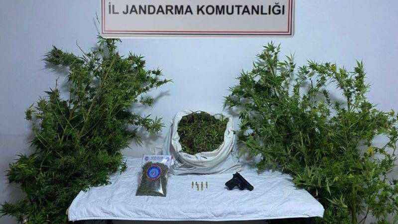 Kocaeli’de uyuşturucu operasyonu