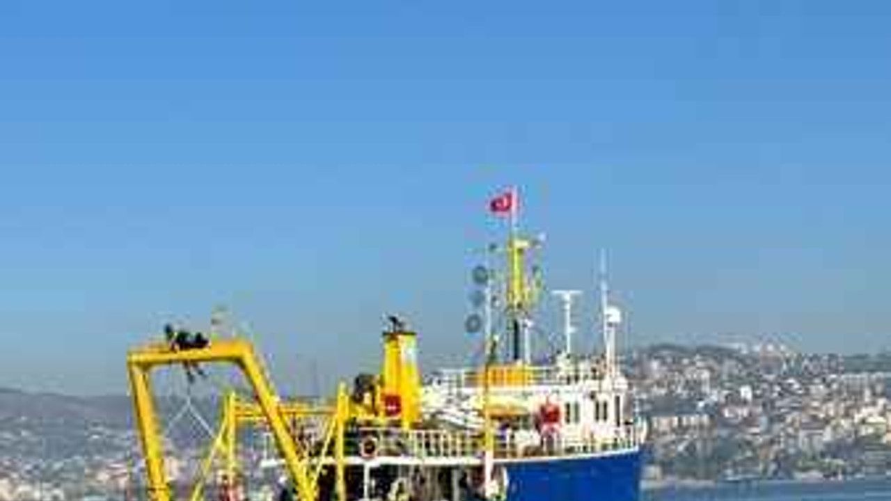 İzmit Körfezi'nde biyoçeşitlilik belirleniyor