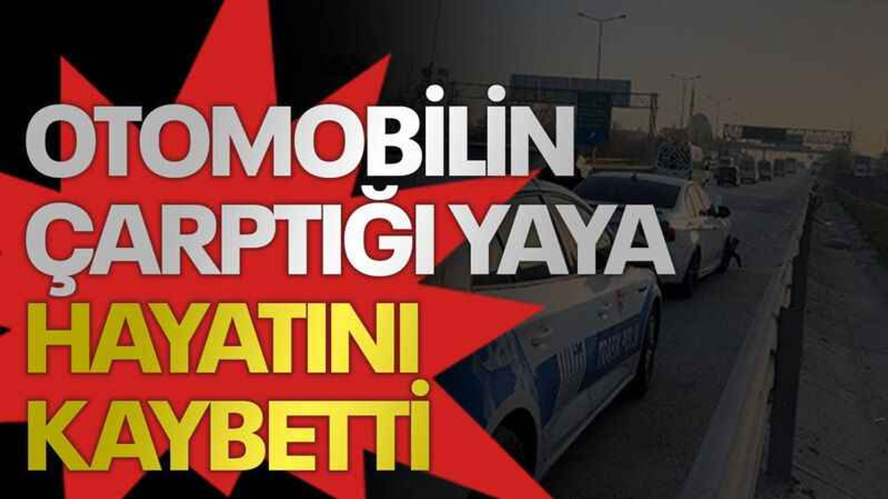 Otomobilin çarptığı yaya hayatını kaybetti