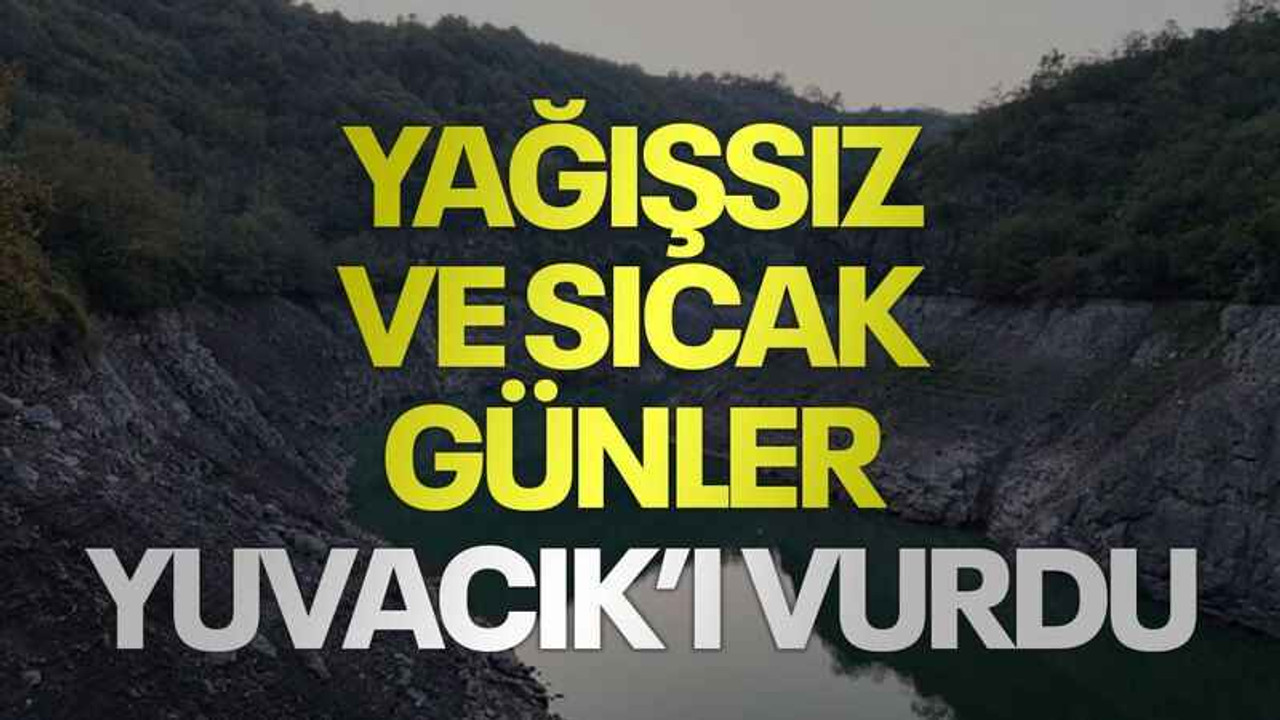Yağışsız ve sıcak günler Yuvacık’ı vurdu
