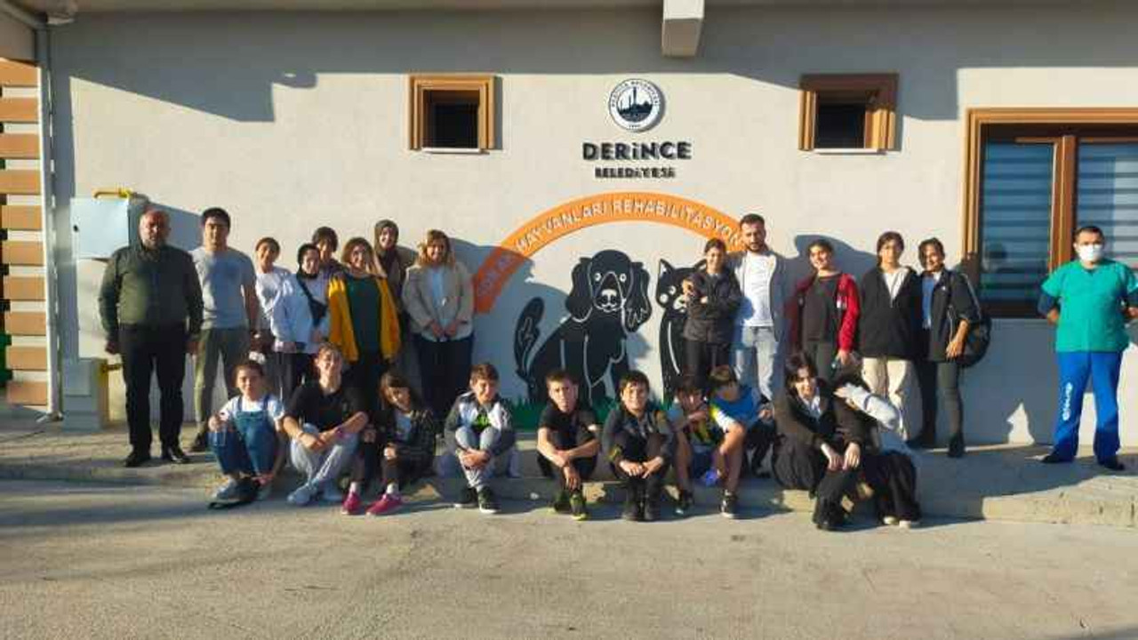 Sokak Hayvanları Bu Merkezde Şifa Buluyor