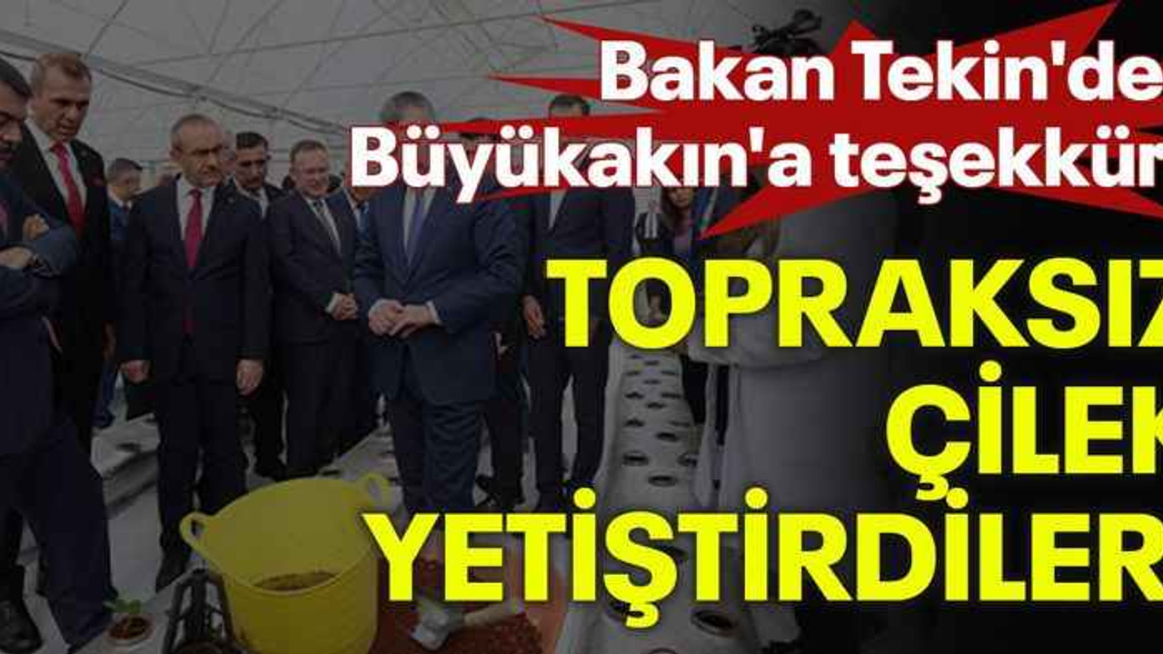 Bakan Tekin'den Büyükakın'a teşekkür! Topraksız çilek yetiştirdiler!