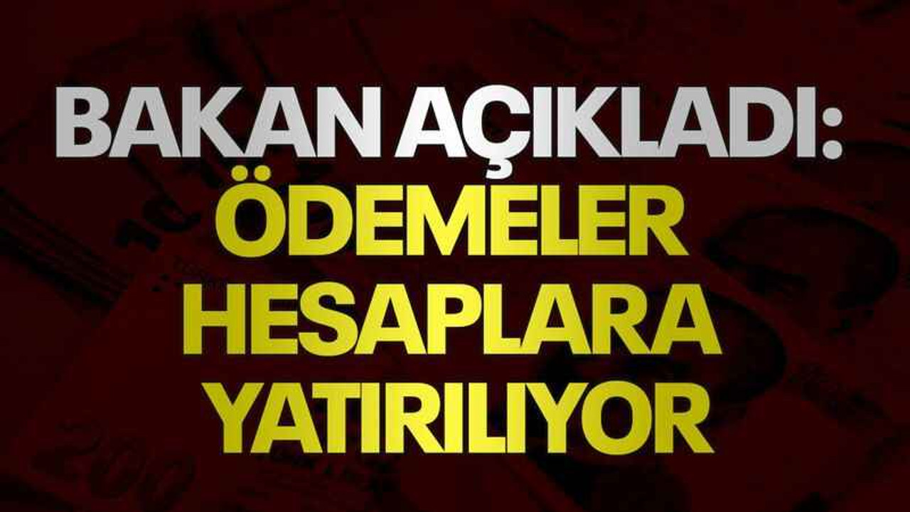 Bakan açıkladı: Ödemeler hesaplara yatırılıyor