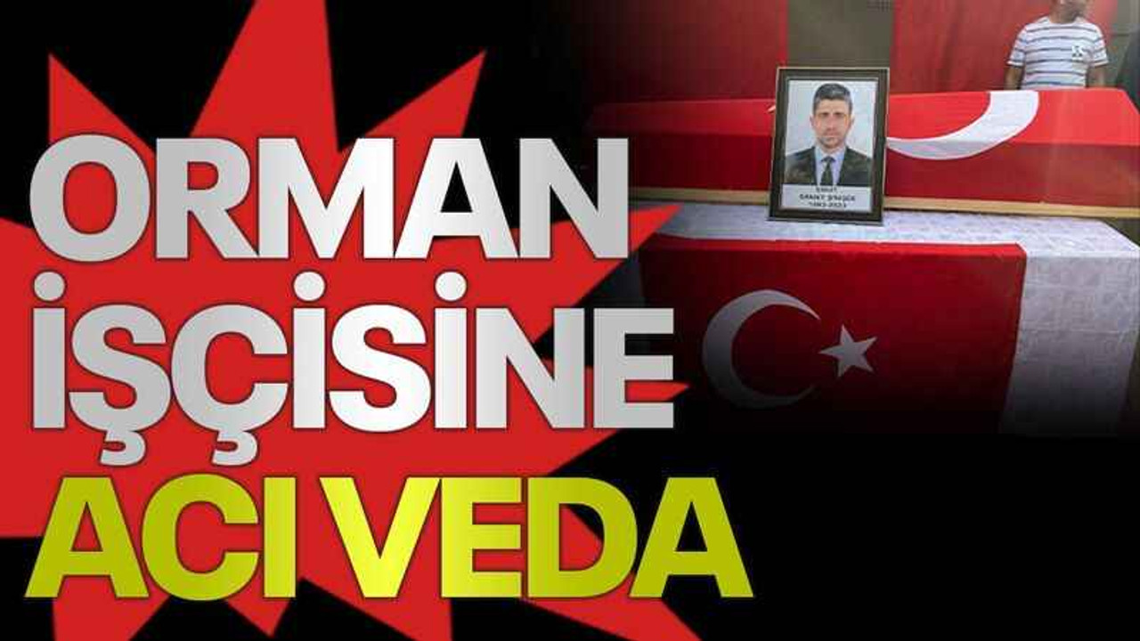 Orman işçisine acı veda