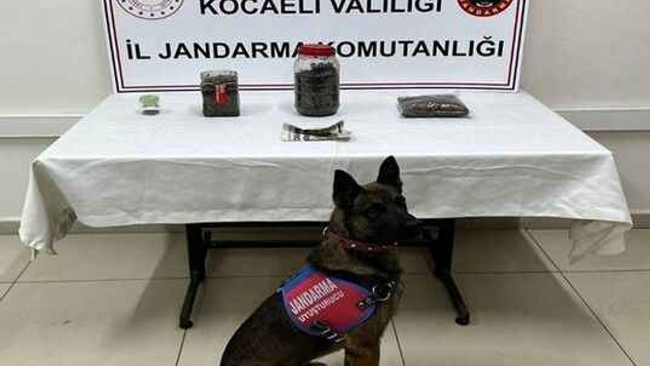 Durdurulan araçtan 11 tabanca çıktı