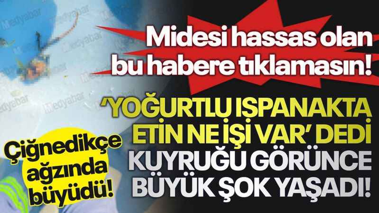 Midesi hassas olan bu habere tıklamasın! Çiğnedikçe ağzında büyüdü! ‘Yoğurtlu ıspanakta etin ne işi var’ dedi kuyruğu görünce büyük şok yaşadı!