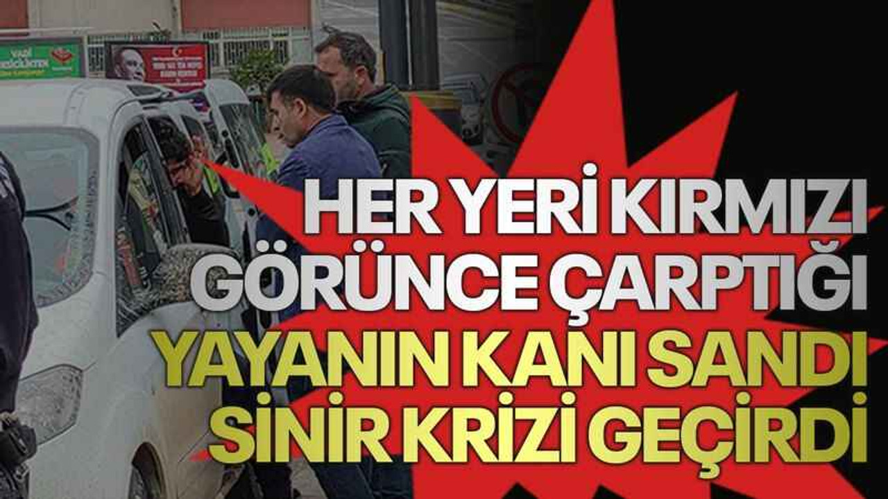 Her yeri kırmızı görünce çarptığı yayanın kanı sandı, sinir krizi geçirdi