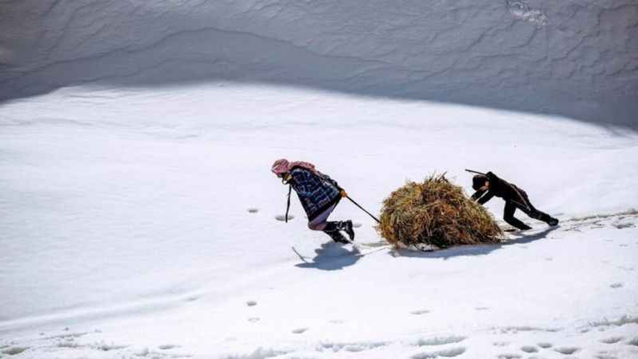 Yardımlaşmanın fotoğrafları ödül kazandırdı!