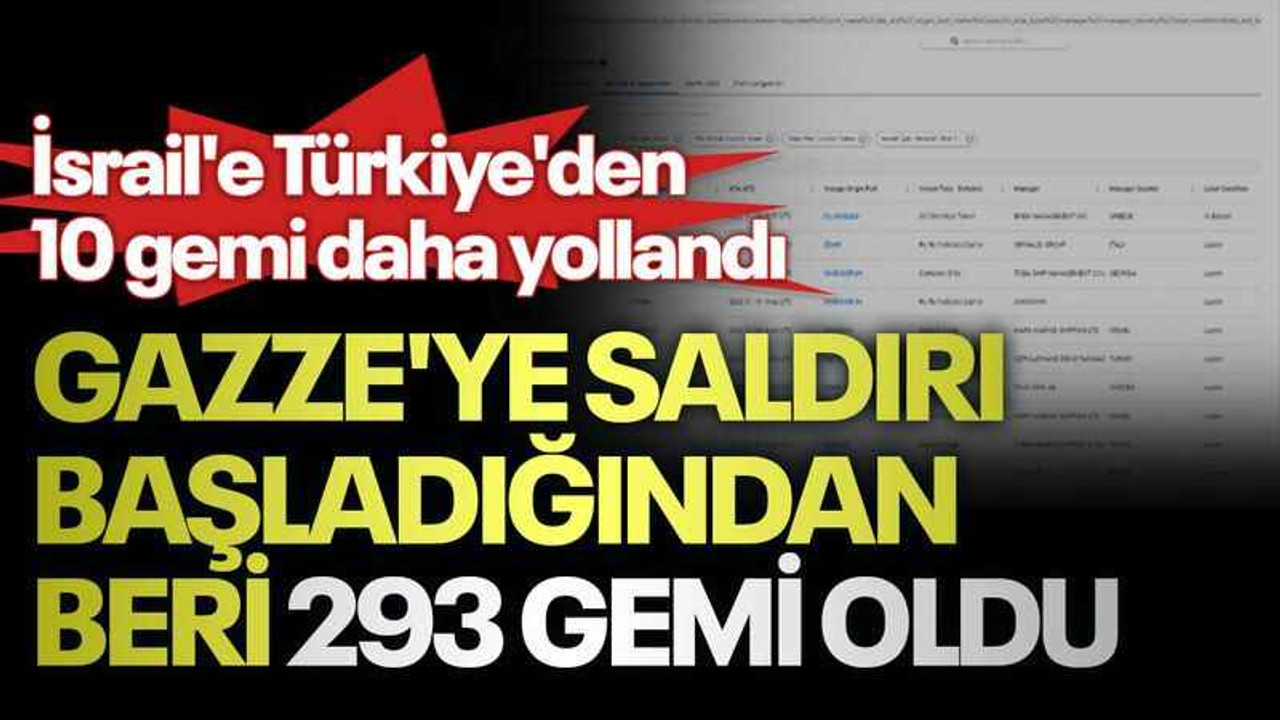 İsrail'e Türkiye'den 10 gemi daha yollandı, Gazze'ye saldırı başladığından beri 293 gemi oldu