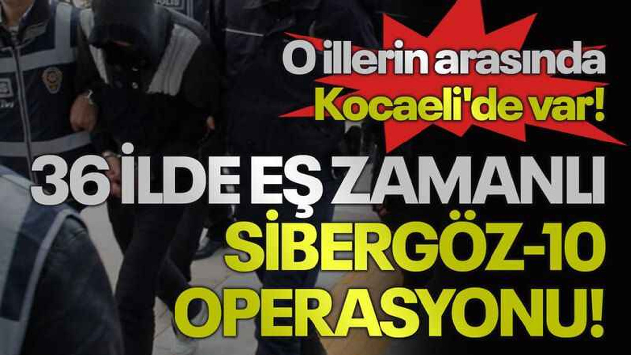 36 ilde eş zamanlı SİBERGÖZ-10 Operasyonu! O illerin arasında Kocaeli'de var!