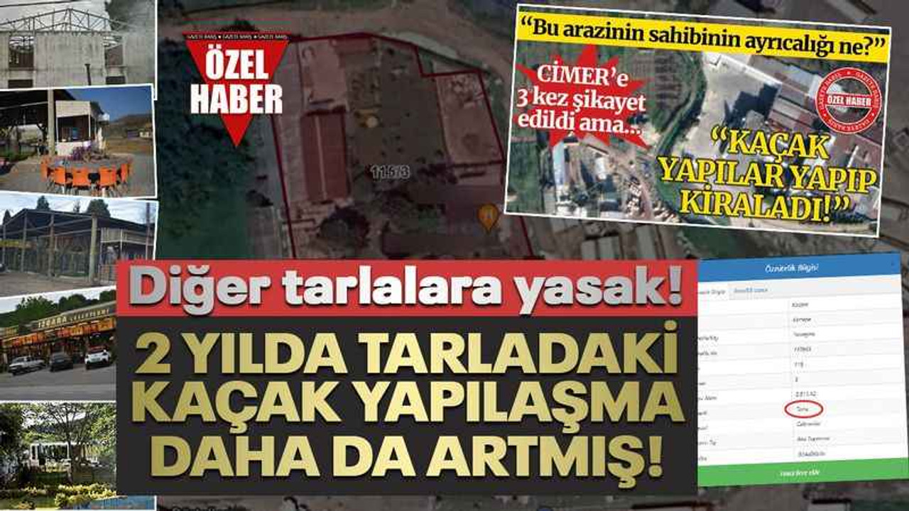 Kartepe Eşme’de yüzde 5 imarlı arazide sürüyle işletme açıldı!
