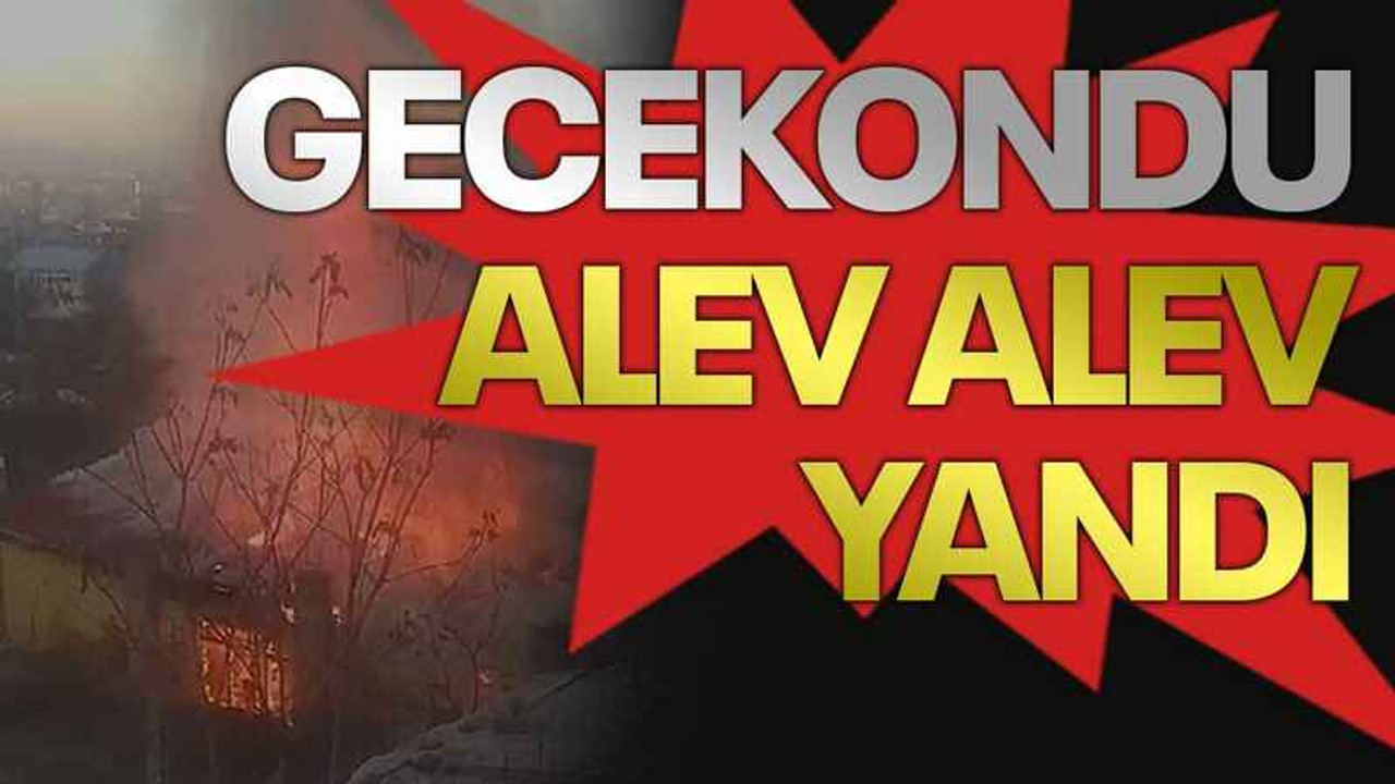 Gecekondu alev alev yandı