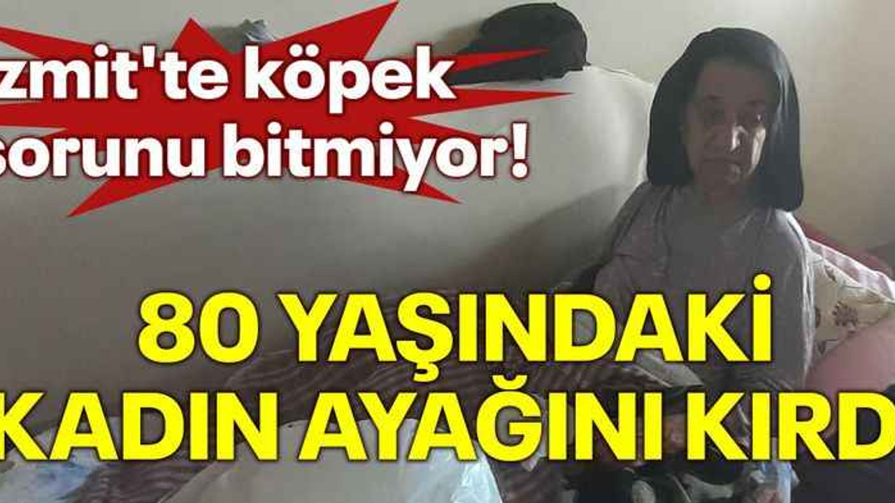 İzmit'te köpek sorunu bitmiyor! 80 yaşındaki kadın ayağını kırdı