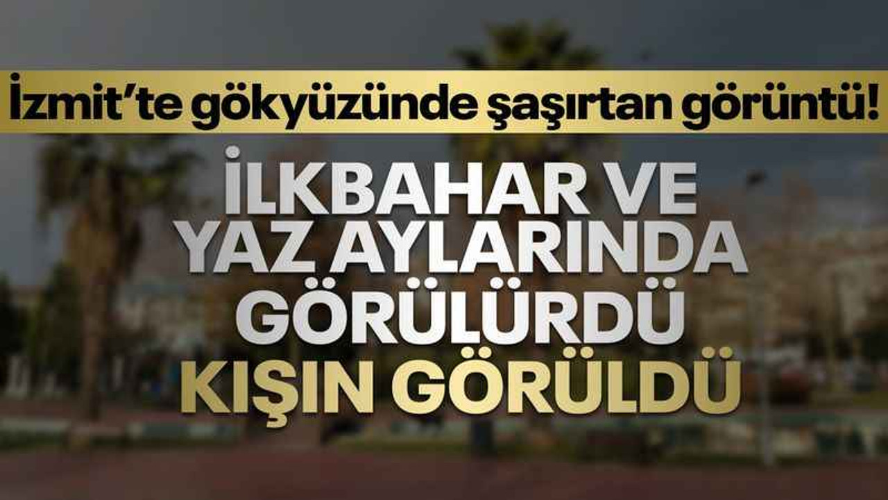 İzmit’te gökyüzünde şaşırtan görüntü! İlkbahar ve yaz aylarında görülürdü, kışın görüldü