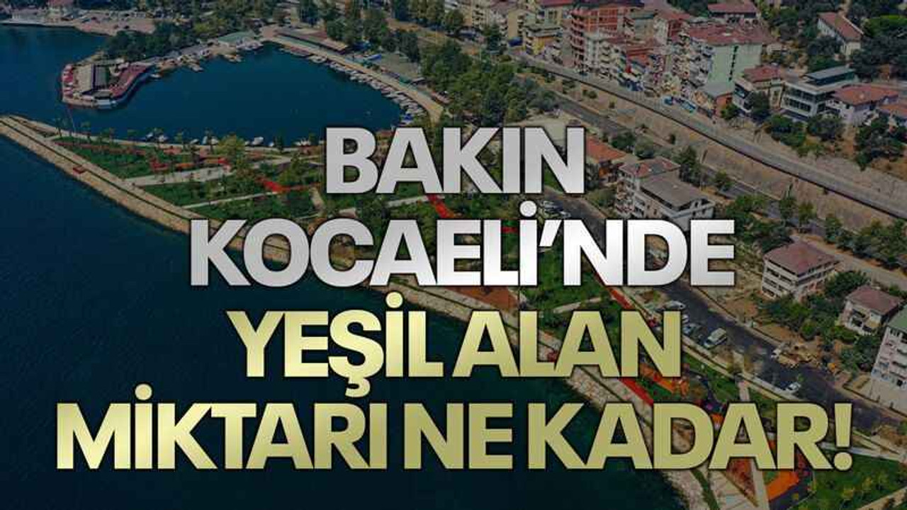 Bakın Kocaeli’nde yeşil alan miktarı ne kadar!