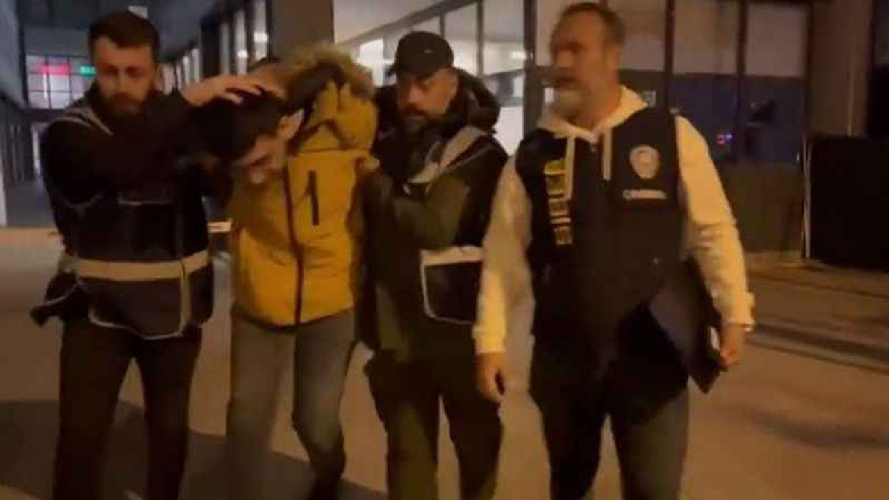 Kedilere eziyet eden 'C31K' topluluğu üyesi 5 kişi tutuklandı