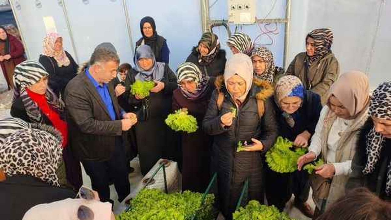 İzmitli kadın çiftçiler AR-GE serasını yerinde inceledi