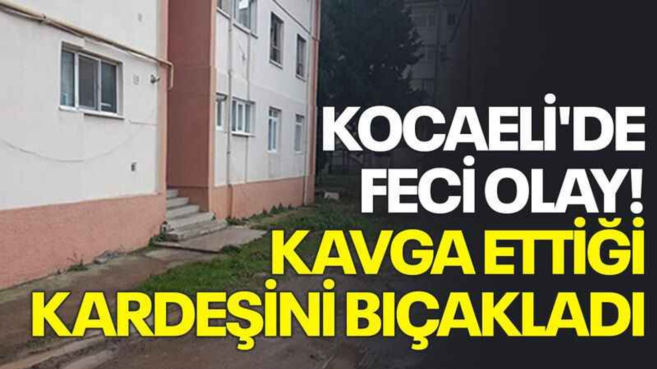 Kocaeli'de feci olay! Kavga ettiği kardeşini bıçakladı