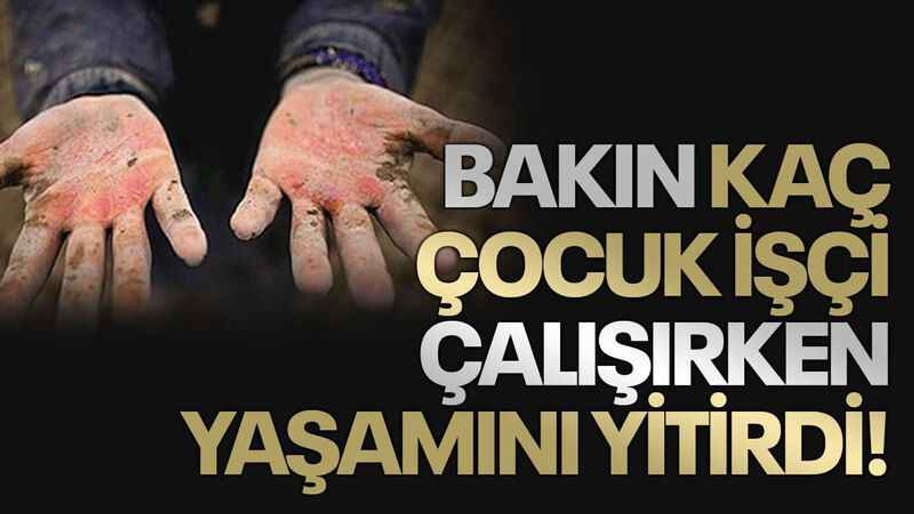 Bakın kaç çocuk işçi çalışırken yaşamını yitirdi!
