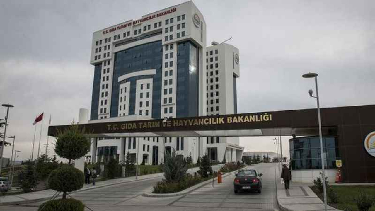 Tarım ve Orman Bakanlığı'nın 1500 personel alımı başladı