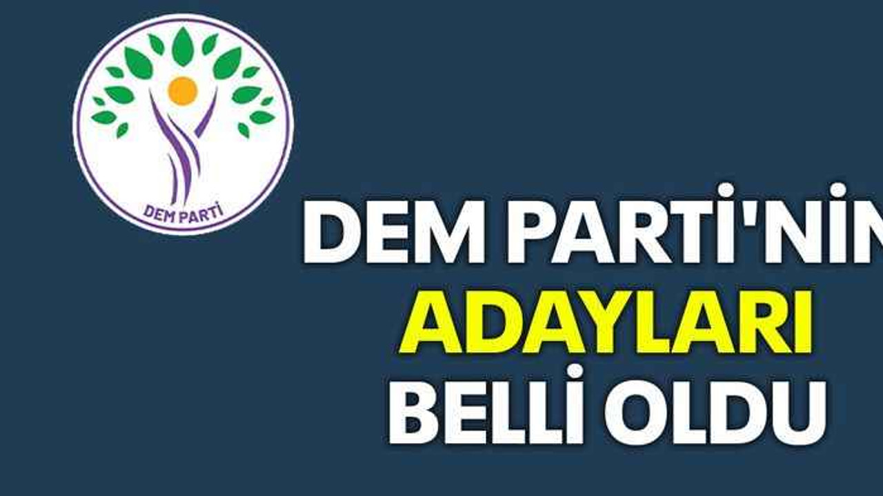 DEM Parti'nin adayları belli oldu