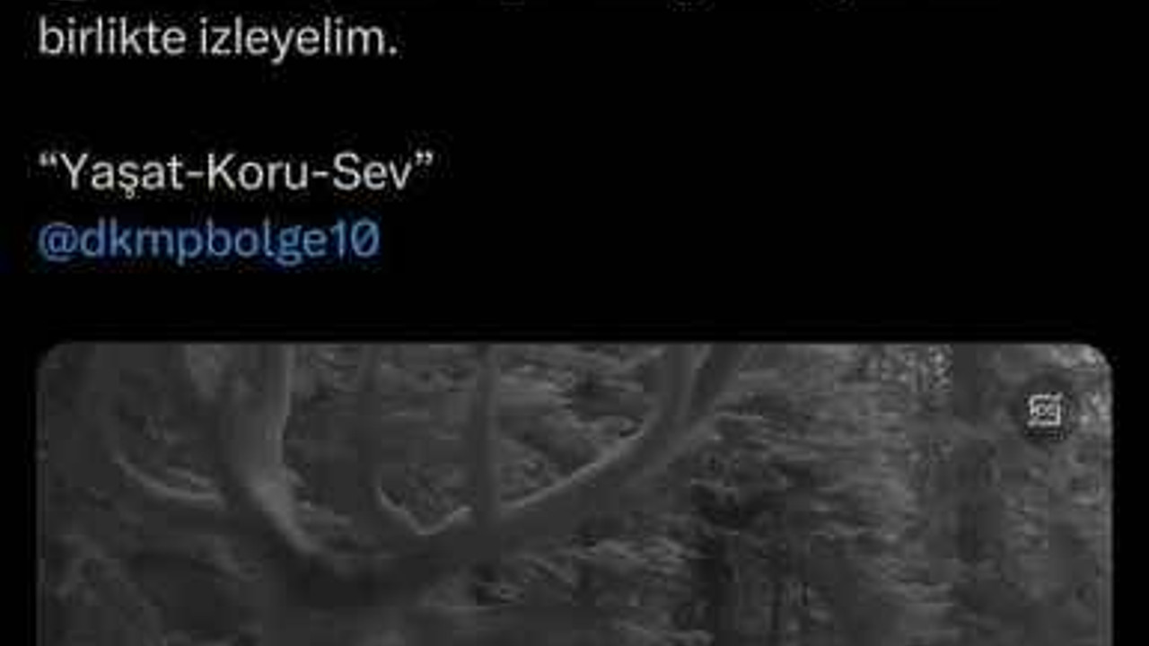 Fotokapanlara yansıyan yaban hayvanları izleyenleri mest etti