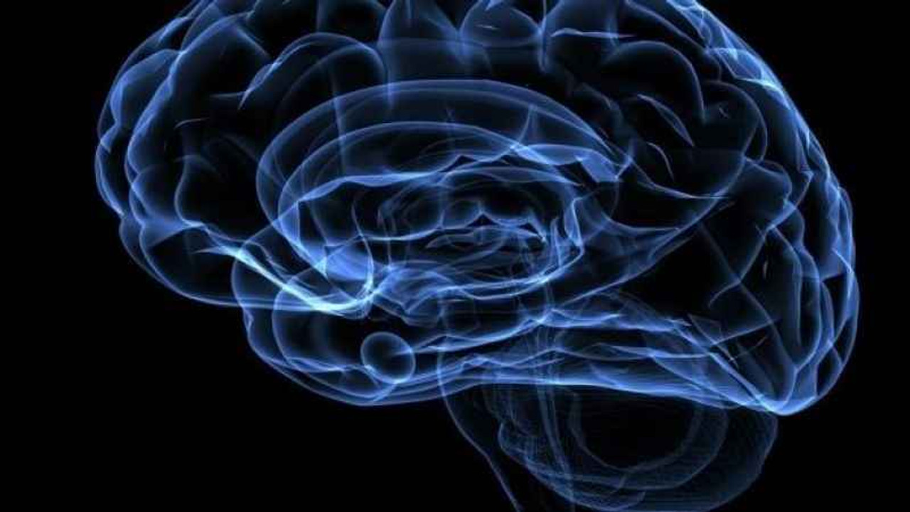 IQ sıralamasında geriye düştük