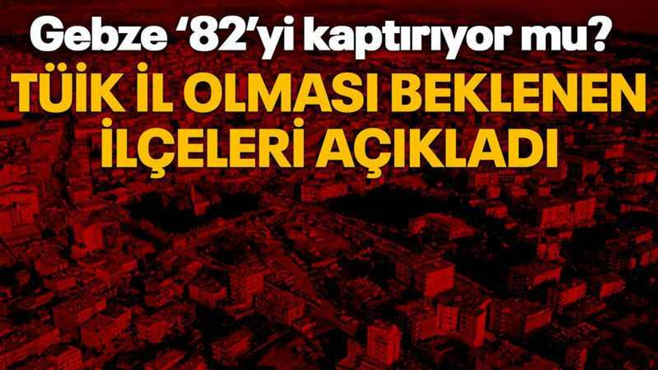 Gebze ‘82’yi kaptırıyor mu? TÜİK İl olması beklenen ilçeleri açıkladı