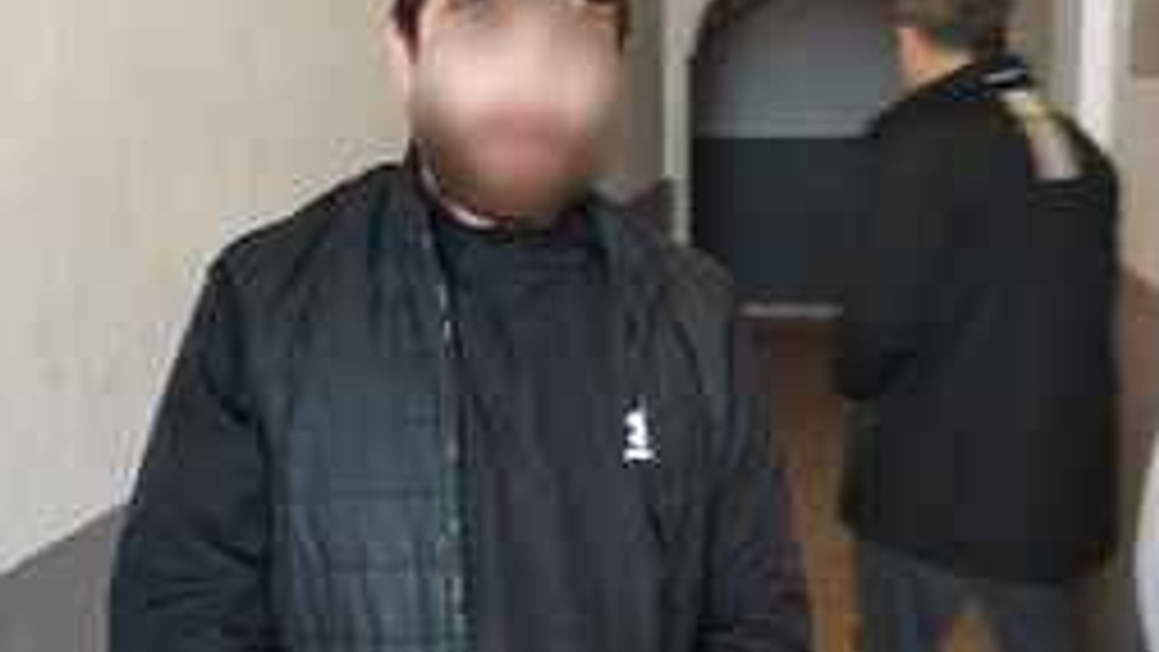 Maymun değil hırsız... Çıktığı ağaçta polise el salladı