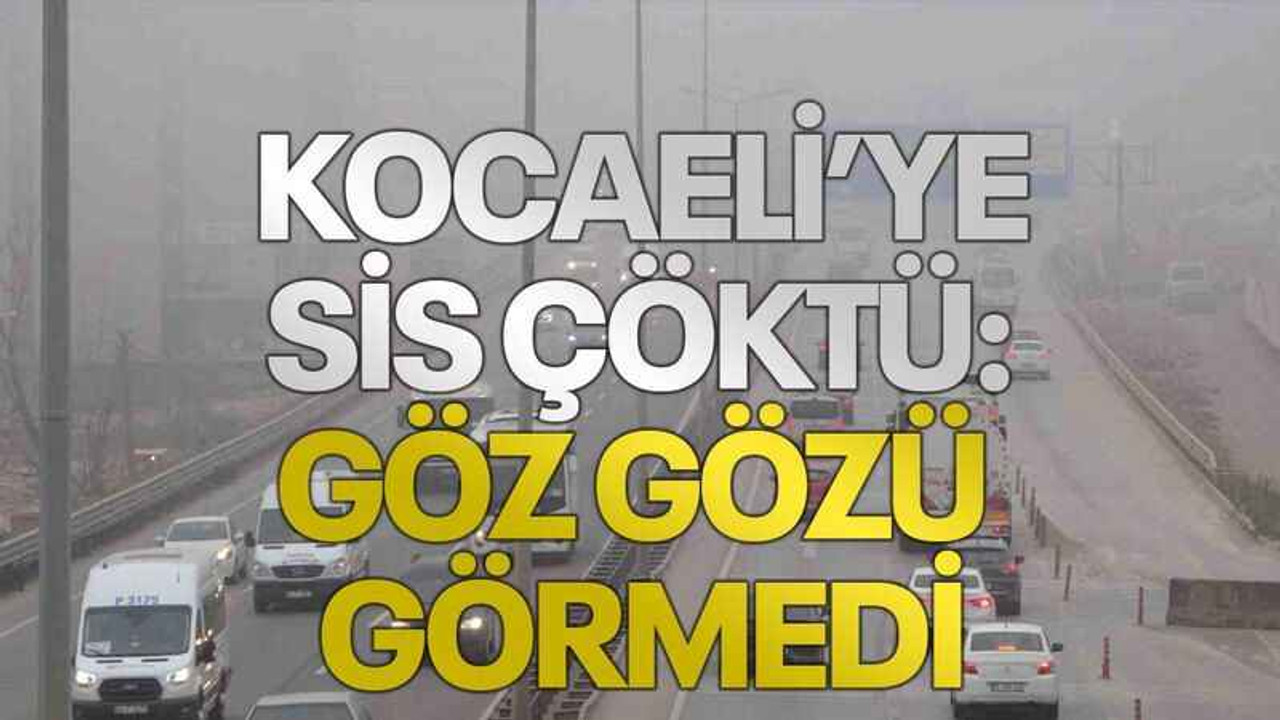 Kocaeli’ye sis çöktü: Göz gözü görmedi