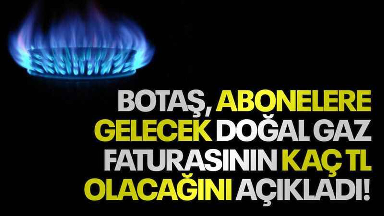 BOTAŞ abonelere gelecek doğal gaz faturasının kaç TL olacağını açıkladı!