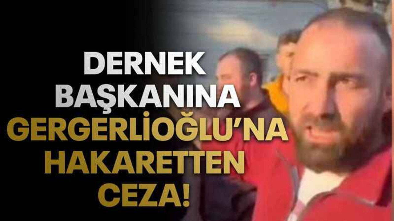 Dernek başkanına Gergerlioğlu’na hakaretten ceza!