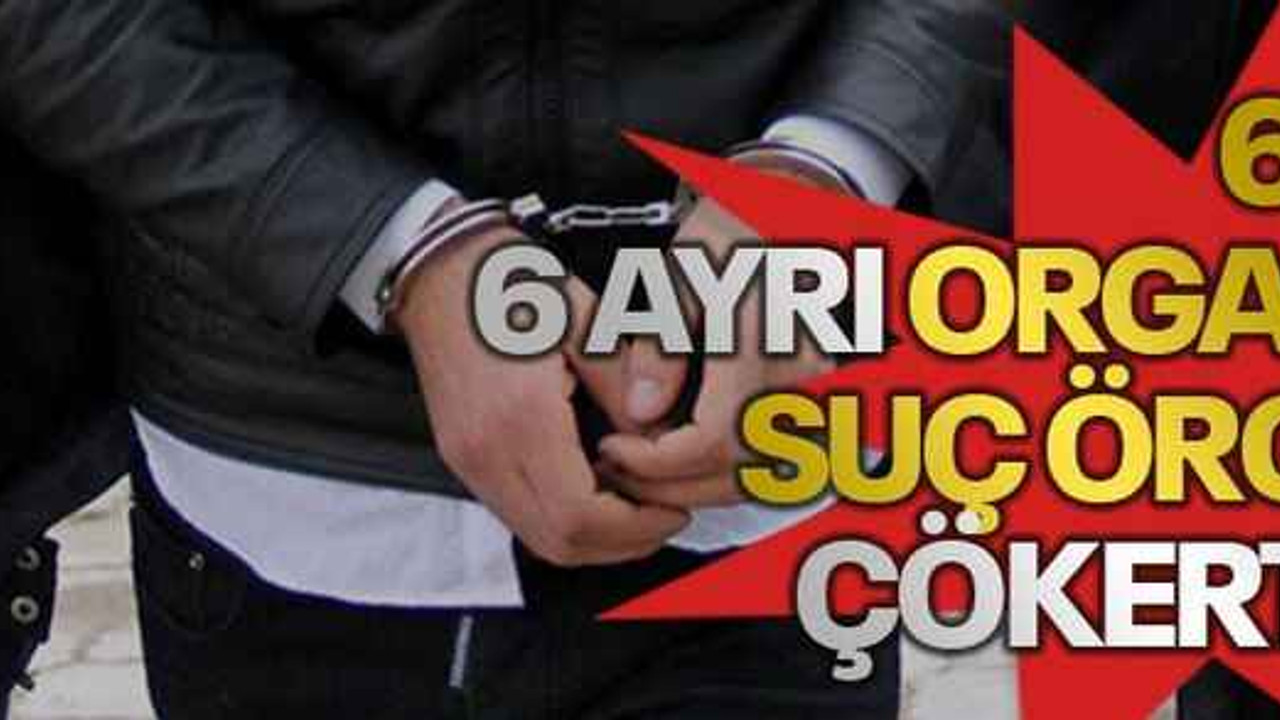 6 ilde 6 ayrı organize suç örgütü çökertildi!