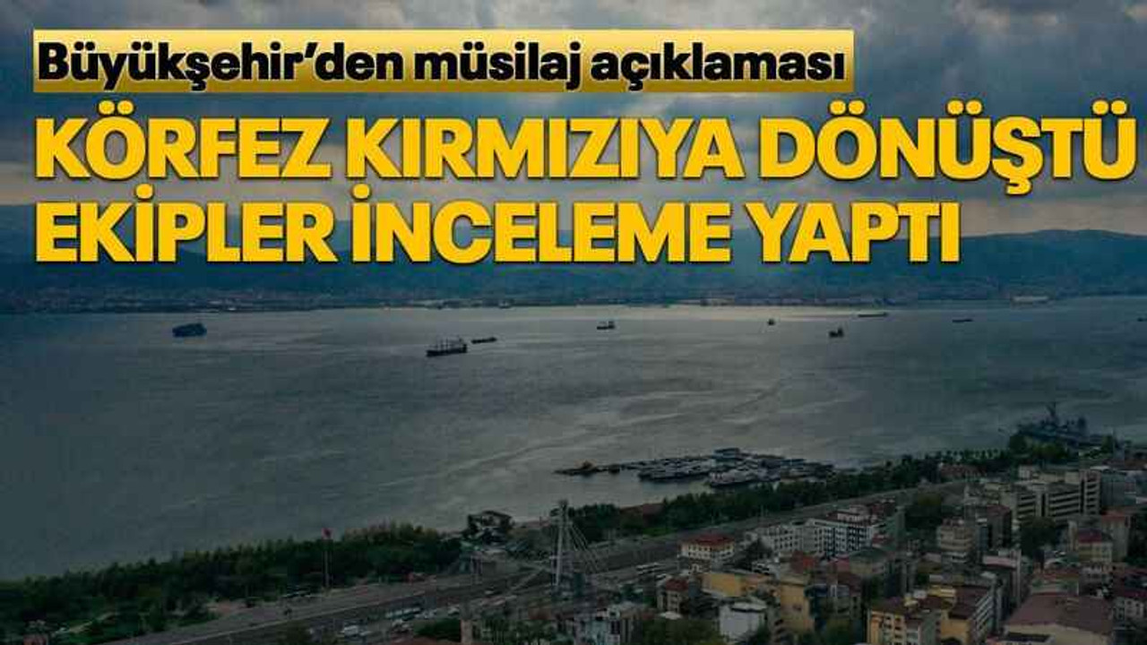 Büyükşehir’den müsilaj açıklaması Körfez kırmızıya dönüştü ekipler inceleme yaptı
