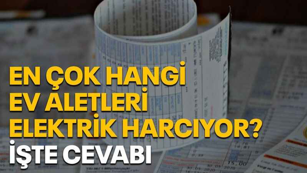 En çok hangi ev aletleri elektrik harcıyor? İşte cevabı