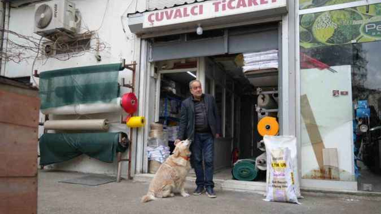 Köpeğin doktora havlaması sahibine 700 bin TL’ye patladı
