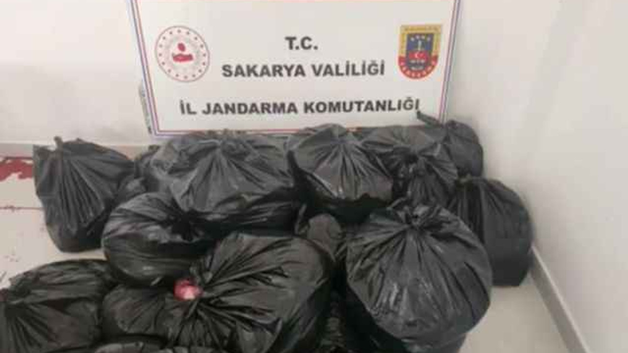 700 kilogram at ve eşek eti! Ramazanda vatandaşa yedireceklerdi, yakalandılar