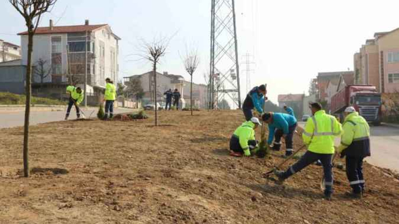 Kocaeli'de yeşil alan artıyor